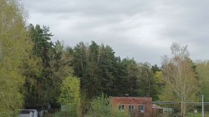 Ну вот и дождичик,дождались смоет всю зелёную пыльцу