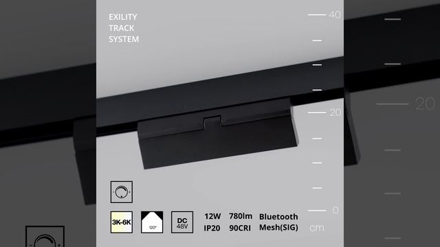 Светильник Maytoni Exility Basis TR036-4-12W3K-DS-B смотреть онлайн