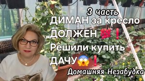 3 часть. ДИМАН за кресло ДОЛЖЕН💯❗️Решили купить ДАЧУ😱❗️