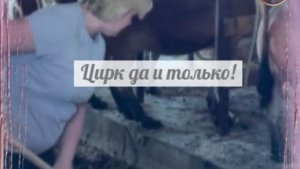 Опять давишь на жалость?