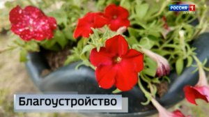 Благоустройство Донецка
