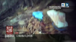Арсенал в дупле: житель Сочи получил 6 лет колонии за торговлю оружием