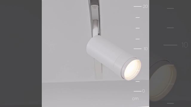 Cветильник Maytoni Exility Focus Zoom TR212-4-12WTW-Z-DSZ-W смотреть онлайн