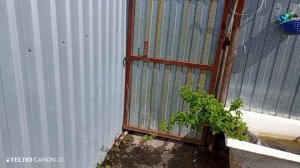 06-05-2026 Продолжение дня ,сажаю малину