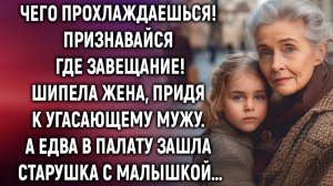 Где завещание, спросила жена, придя к угасающему мужу. А едва в палату зашла…
