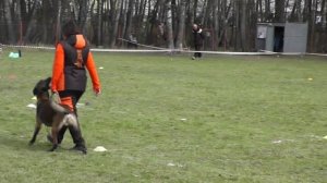 05-02-2026_ЧР по БРР Группа Б Четвертый участник 1 этап