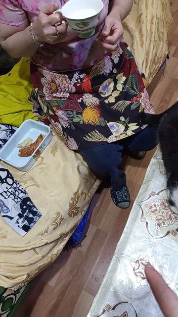 VID_20260406_232516