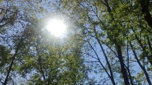6 мая СЕНСАЦИЯ Магический репортаж ☀️
