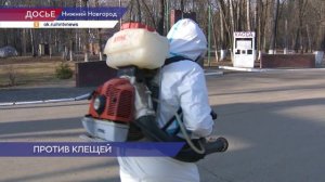 10 крупнейших нижегородских парков обработают от клещей в ближайшее время