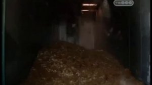 Цена роскоши: От подиума до дикой природы