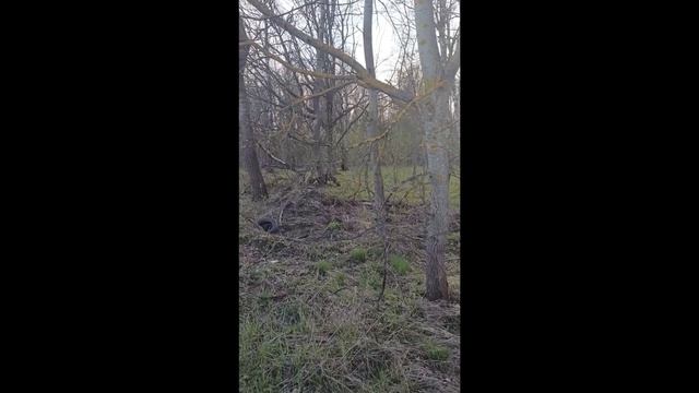 Земельный участок по адресу: г. Электросталь, 1-й Криулинский