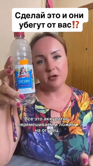 Избавление от тараканов