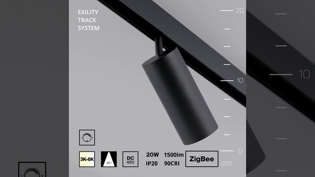 Cветильник Maytoni Exility Focus LED TR032-4-20WTW-M-DSZ-B смотреть онлайн
