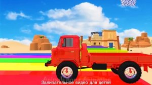 Залипательное видео с животными