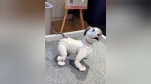 126. Привет из будущего 🤖👾.