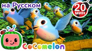 Пять маленьких птичек🐦🐦 # Новая Серия✨ # CoComelon на русском — Детские песенки