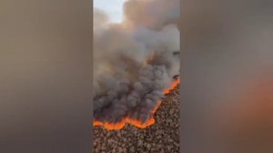 ⚡️ 400 гектаров леса горят в Аризоне.

В США около города Бакай полыхают кустарники и деревья. Площа