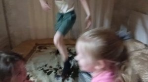 яйца новенькой