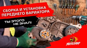 Замена переднего вариатора 139QMB на скутере 🔧 Проверка роликов, шлицов и правильная сборка