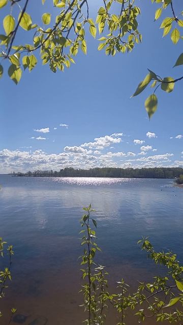 море