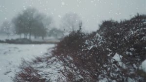 Я белая снежинка