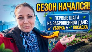 ДАЧНЫЙ СЕЗОН НАЧАЛСЯ! Первые шаги на заброшенной даче: уборка и посадки