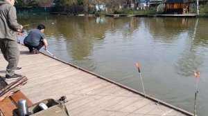 Форель клюëт. РК Липки.