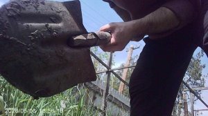 Копка земли и удаление корней сорняка «Пырей» (фрагмент)