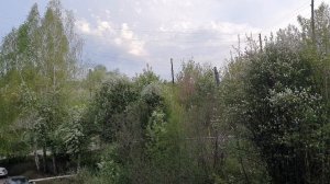 Красота