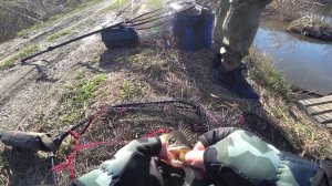 Майский ЖОР Судака!  Преднерестовая активность. Кузбасский