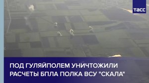 Под Гуляйполем уничтожили расчеты БПЛА полка ВСУ «Скала»