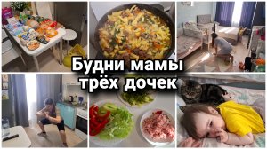 🛍Покупки из Чижика на 3000 рублей. Тренируюсь дома.🍲 Пп еда. 🥰Аделина пожарила оладушки.