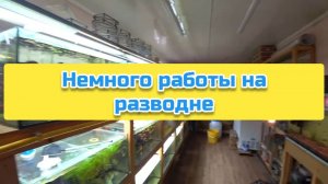 Немного работы на разводне