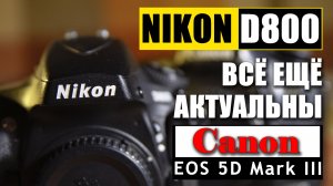 Canon 5D Mark III и NIKON D800 в 2026 году / Стоит ли брать Nikon D800 и Canon 5D mark 3 сегодня?