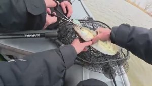 ДУМАЛ ЗАЦЕПИЛ ЗА КОРЯГУ, А ОНА ОЖИЛА! Попали под дождь! Первая рыбалка с лодки 2