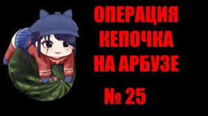 Кепочка на Арбузе 25
