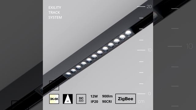 Cветильник Maytoni Exility Points TR031-4-12WTW-M-DSZ-B смотреть онлайн