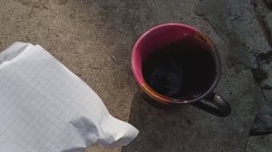 Как поймать шмеля или пчелу дома