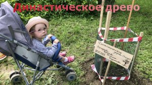 Династическое древо