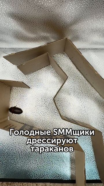 Тараканьи бега