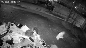 Погрозил кулаком в камеру и поджег мусор хабаровчанин