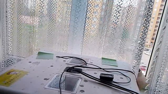 РОЖДЕНИЕ НОВОГО ПОКОЛЕНИЯ КУР, ОБЗОР РАБОТЫ ИНКУБАТОРОВ, ВСЁ ПЛЮСЫ И МИНУСЫ. ЧЕМ КОРМИТЬ ЦЫПЛЯТ