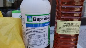 ПРОФИЛАКТИЧЕСКАЯ ОБРАБОТКА ВИНОГРАДНИКА ОТ БОЛЕЗНЕЙ!🍇🍇Telegram, WhatsApp, Vlber и MAX +79528500417