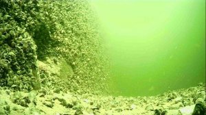 1000016781.mp4Волга гл.5м.06.05.2026г.