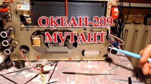 Океан-209. При ремонте обнаружился интересный зеркальный эффект блока УКВ.