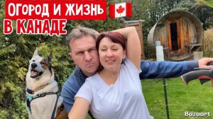 КАК ВЫЖИВАЮТ РУССКОЯЗЫЧНЫЕ ДАЛЬНОБОЙЩИКИ В КАНАДЕ деревенская жизнь в Канаде огород Рассада  шашлыки