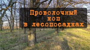 Проволочный коп в лесопосадках. И душу отвел, и сделал природу чуть чище