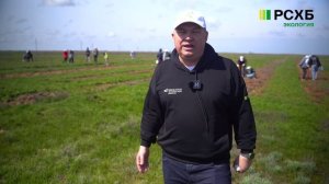 18 апреля 2026 г. Фонд «Экология» высадил 12 тыс. саженцев вяза в Волгоградской области