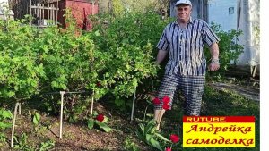 Опора для кустов смородины, крыжовника.  Из пластиковых труб. Разборная.