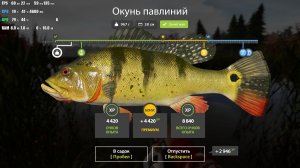 Русская Рыбалка 4( и клёв и сход)